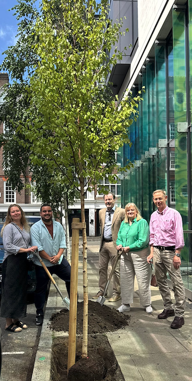Two neighbouring Business Improvement Districts (BIDs), Harley Street BID and The Fitzrovia Partnership, have come together to plant a tree on the Westminster side of Fitzrovia. 