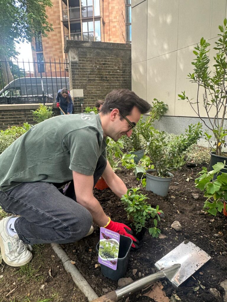 Community volunteers help refresh Paddington Street Gardens